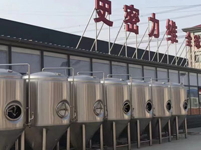 濂溪精酿啤酒设备厂—市场规模与跨界新需求